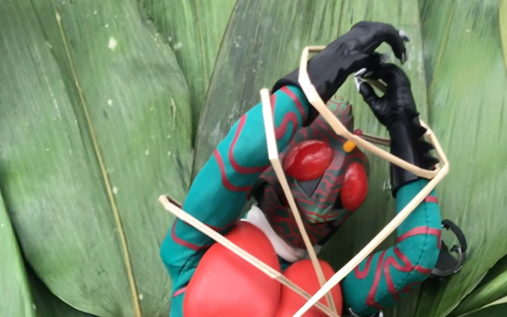 端午节安康给大家包一个十二寸老粽子吃吃假面骑士amazons啊妈粽