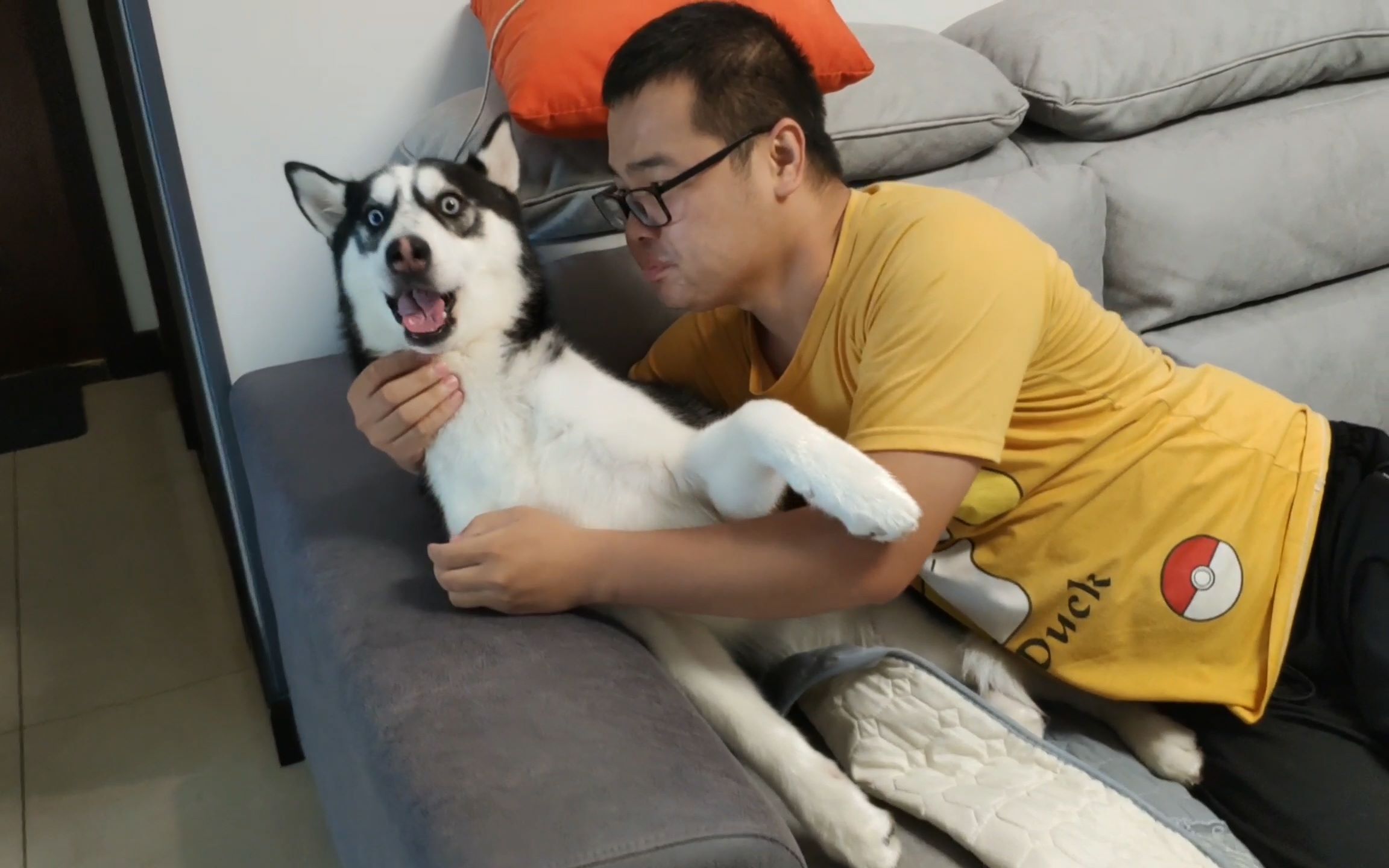 男子喂狗狗吃橘子,放入嘴里的那一刻,二哈的反应让人爆笑不断