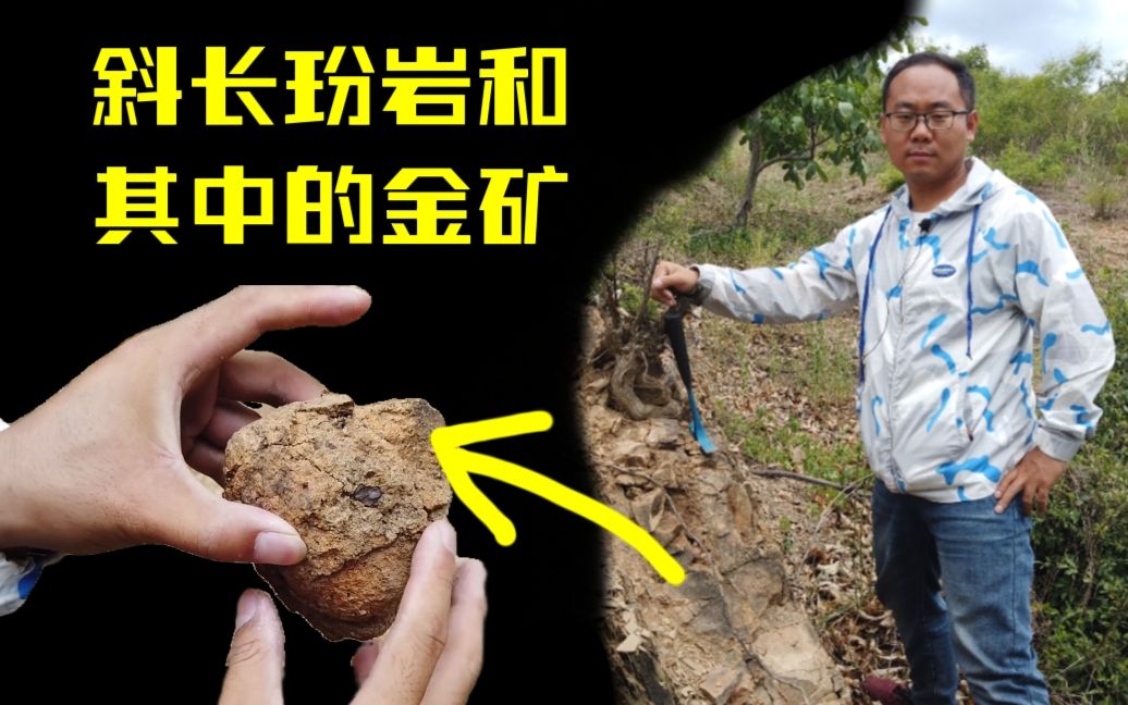 【大地史书】18 蓟县东山村的一种石头,居然和金矿有关哔哩哔哩bilibili