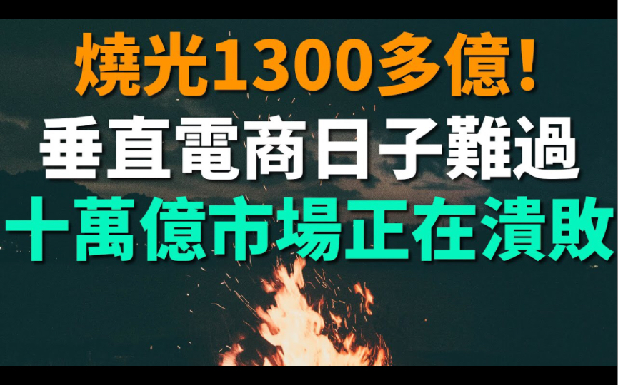 烧光近1300亿!中国垂直电商日子很难过,十万亿市场正在溃败.消费降级越来越严重,年轻人真的没钱花了吗?昔日头部玩家都哀鸿遍野…哔哩哔哩bilibili