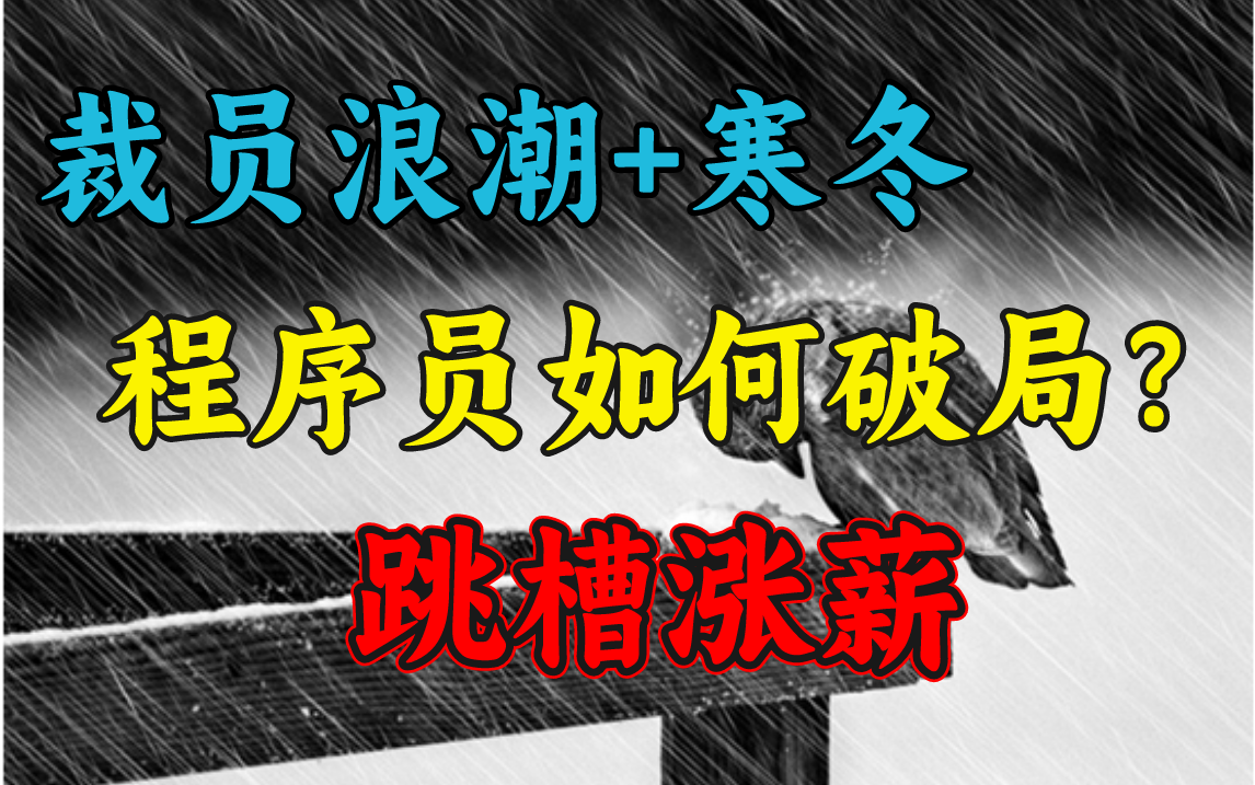 互联网寒冬告急,2023程序员的出路和发展在哪里?如何破局,详解程序员涨薪跳槽利器哔哩哔哩bilibili