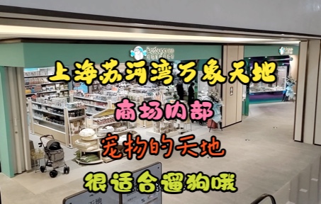 上海苏河湾万象天地的内部简直就是宠物的天地啊,很适合遛狗哦哔哩哔哩bilibili