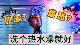我家金鱼便秘了 哔哩哔哩 Bilibili