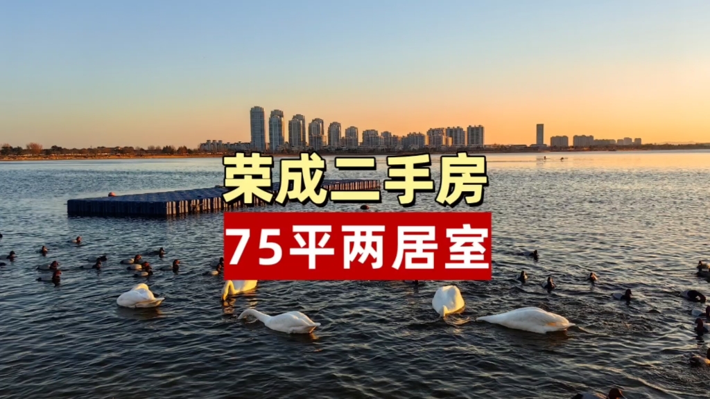 威海荣成市区最便宜的二手房来了!33.6 万即享舒适养老房,75平两居室,先到先得,手慢无!哔哩哔哩bilibili