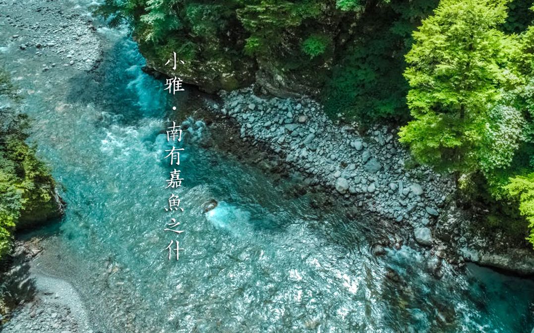 [图]小雅·南有嘉魚 南山有臺