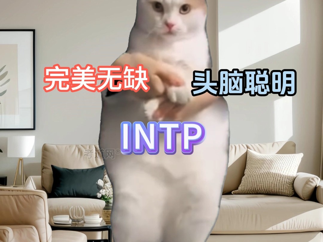 仅占人口3%的最稀有性格类型之——INTP哔哩哔哩bilibili