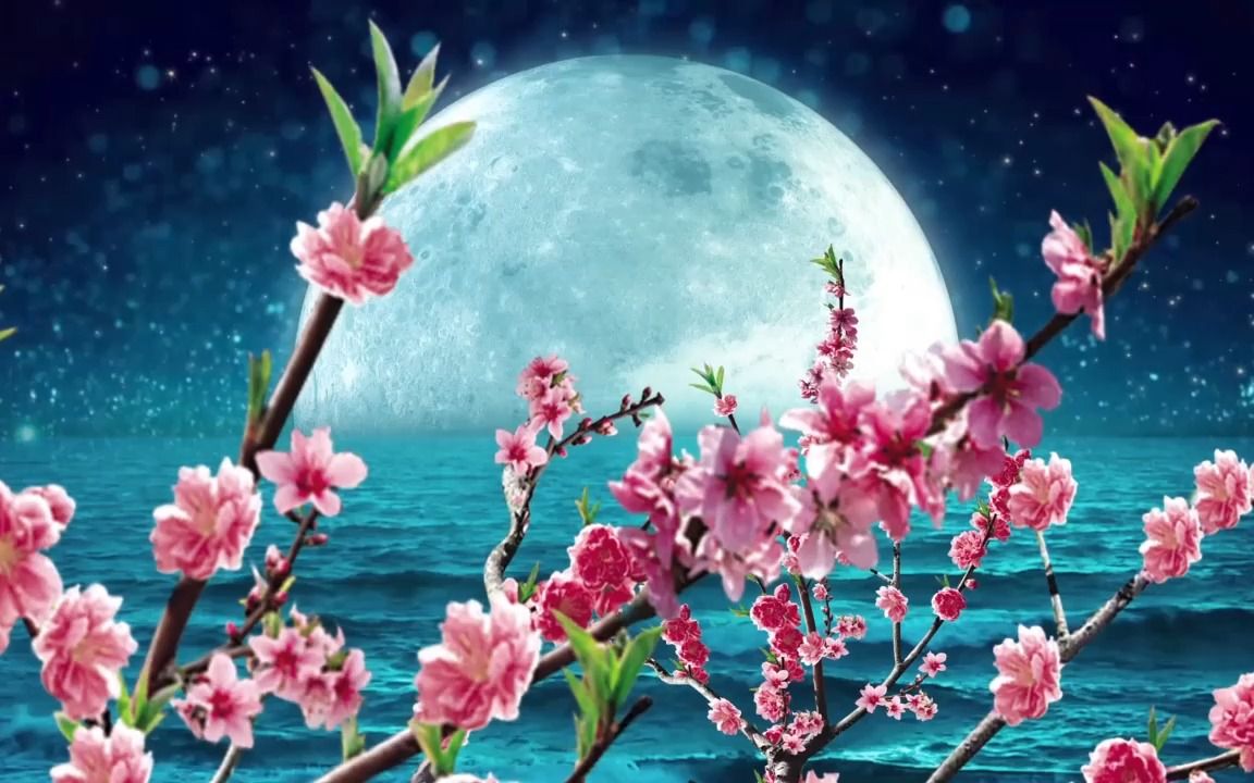 《月愿》舞台演出背景视频唯美古风浪漫花瓣led大屏幕高清视频素材