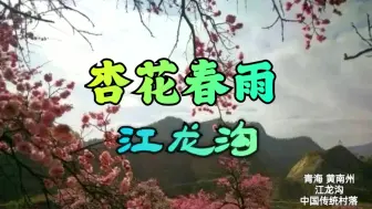 Download Video: 杏花春雨江龙沟