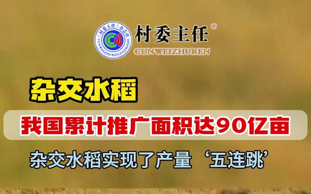 #三农 50年来,我国 #杂交水稻 在国内累计推广面积达90亿亩,累计增产稻谷超8000亿公斤.50年里,我国杂交水稻实现了产量'五连哔哩哔哩bilibili