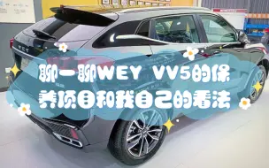 Descargar video: 聊一聊WEY VV5的保养