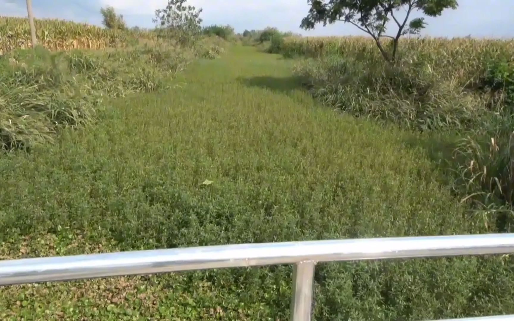 野花生里掏草洞钓鲫鱼,鱼不咬钩轻轻提竿钓浮,鲫鱼咬钩都是顶漂哔哩哔哩bilibili