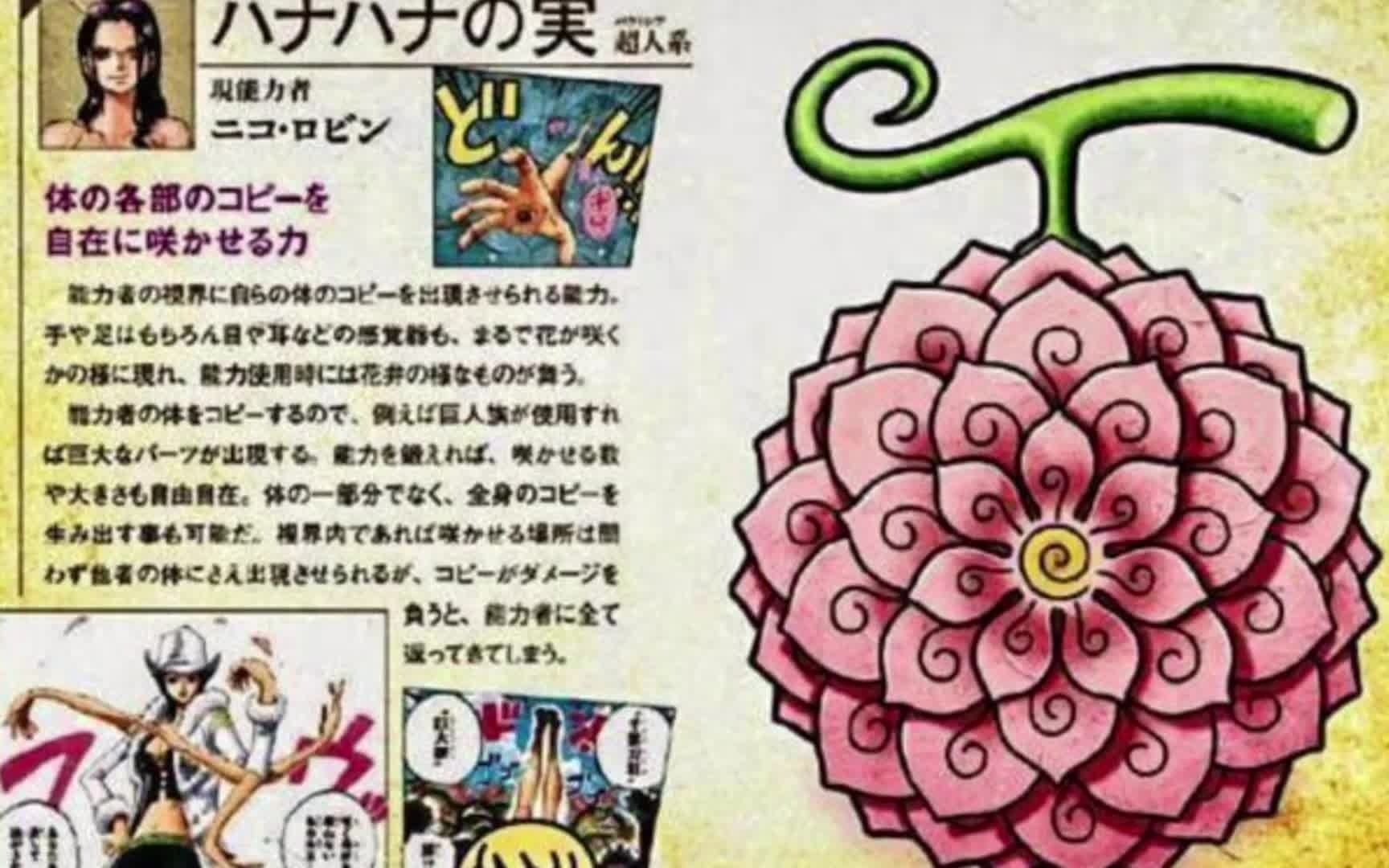 [图]花花果实潜力无限！进击的巨人罗宾军团！#148