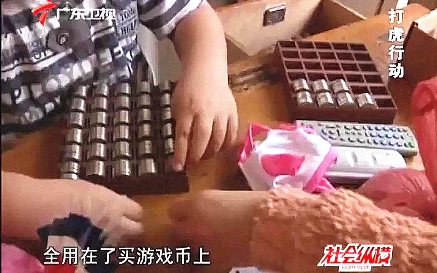 [图][社会纵横] 打虎行动 20130402