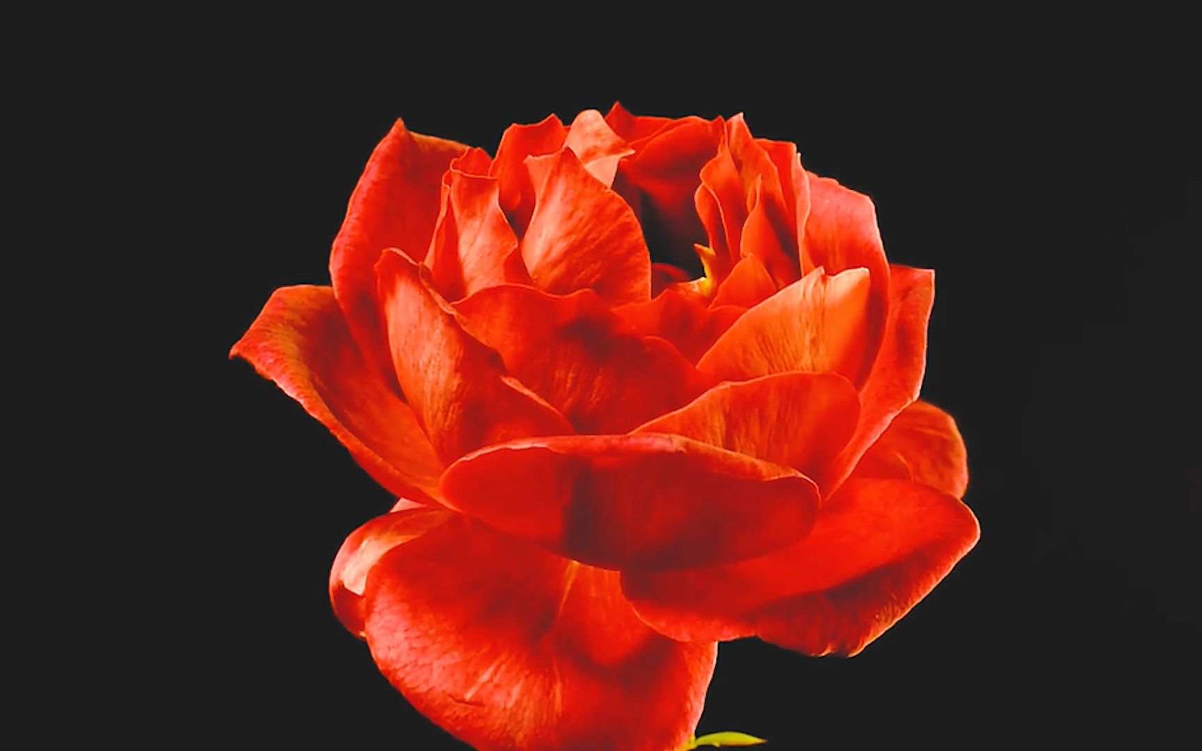 【destiel】致郁 | 失忆 |  six feet under