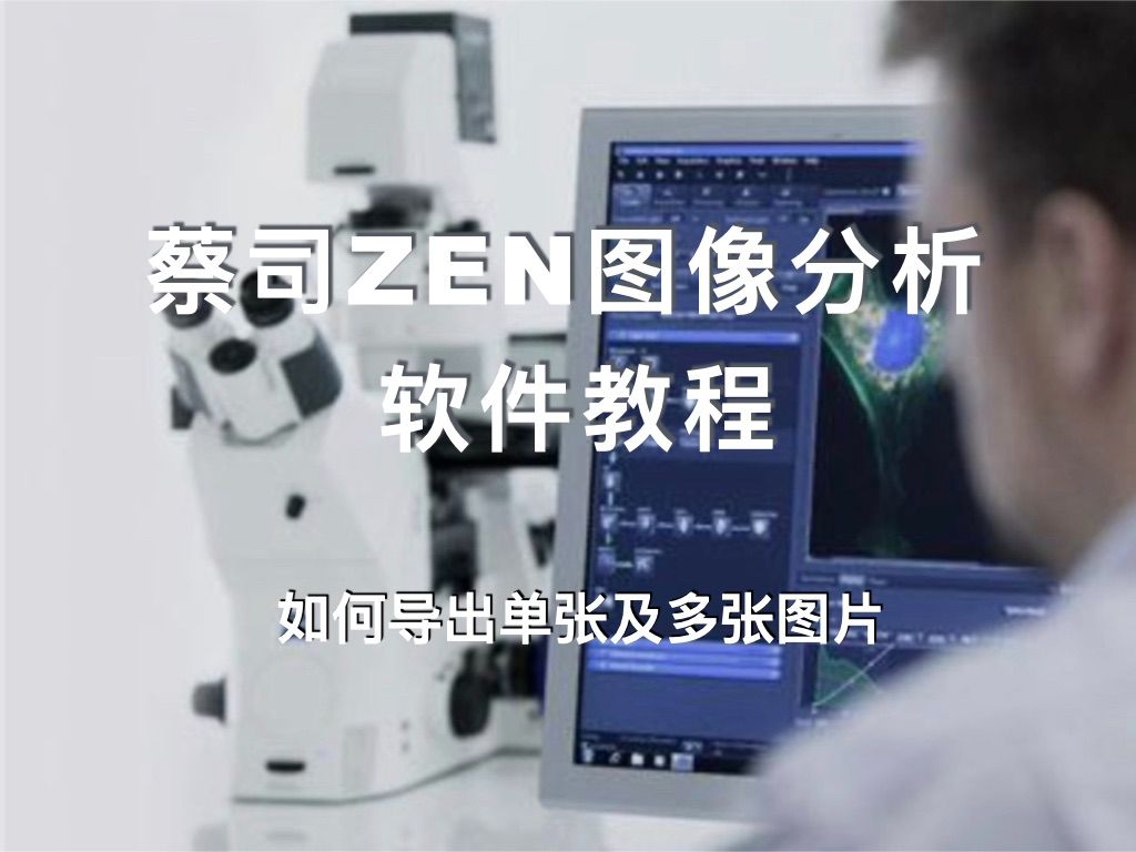 ZEISS ZEN图像处理常见问题——如何导出单张及多张图片哔哩哔哩bilibili