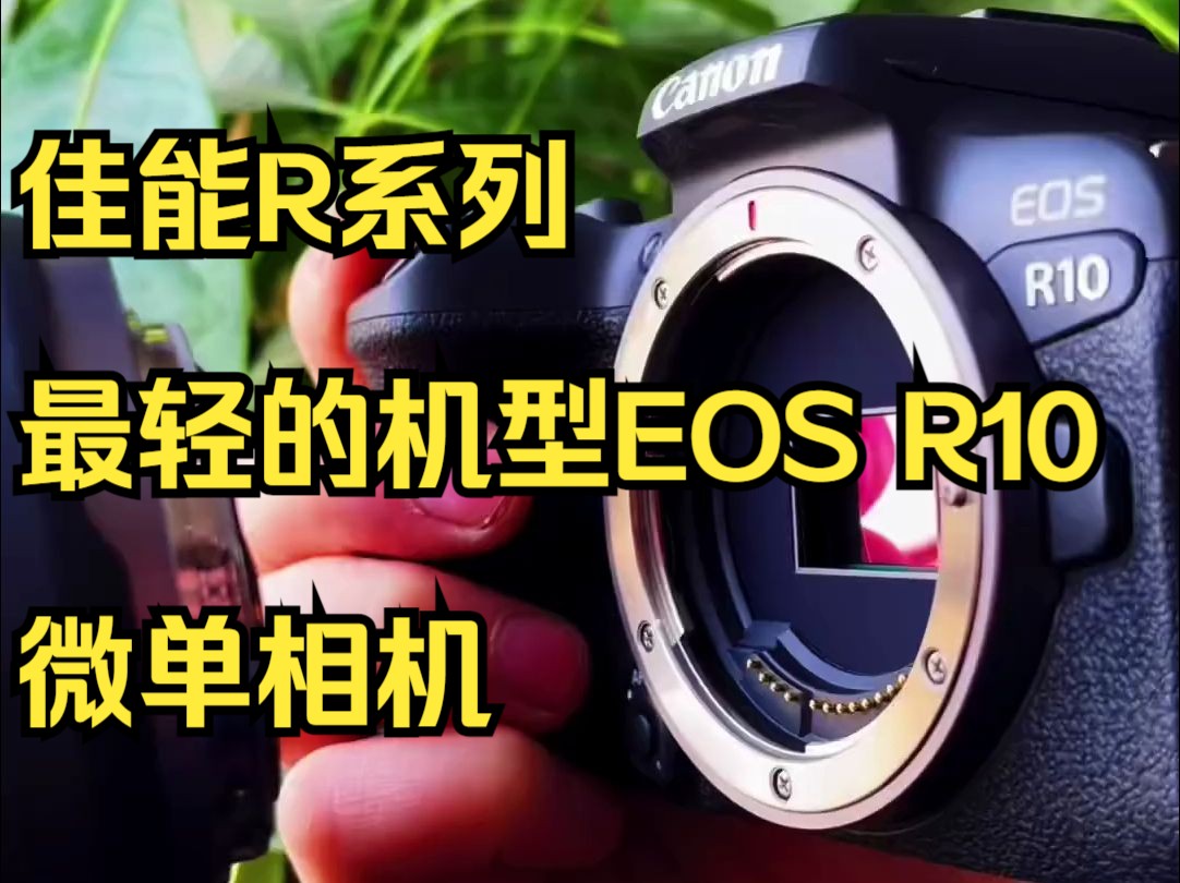 相机推荐 佳能 单反 佳能R系列最轻的机型EOS R10微单相机哔哩哔哩bilibili