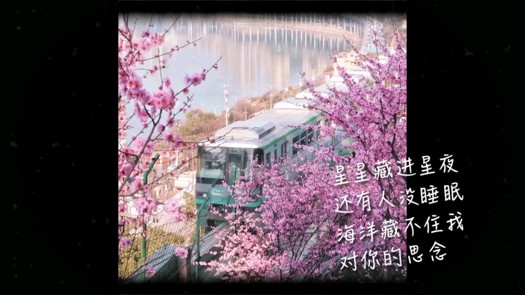 校园的春景哔哩哔哩bilibili