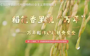 Download Video: 第八届全国高校大学生讲思政课公开课参赛作品：稻花香里说“万年”——万年稻作护航粮食安全