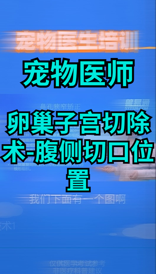 卵巢子宫切除术腹侧切口位置哔哩哔哩bilibili