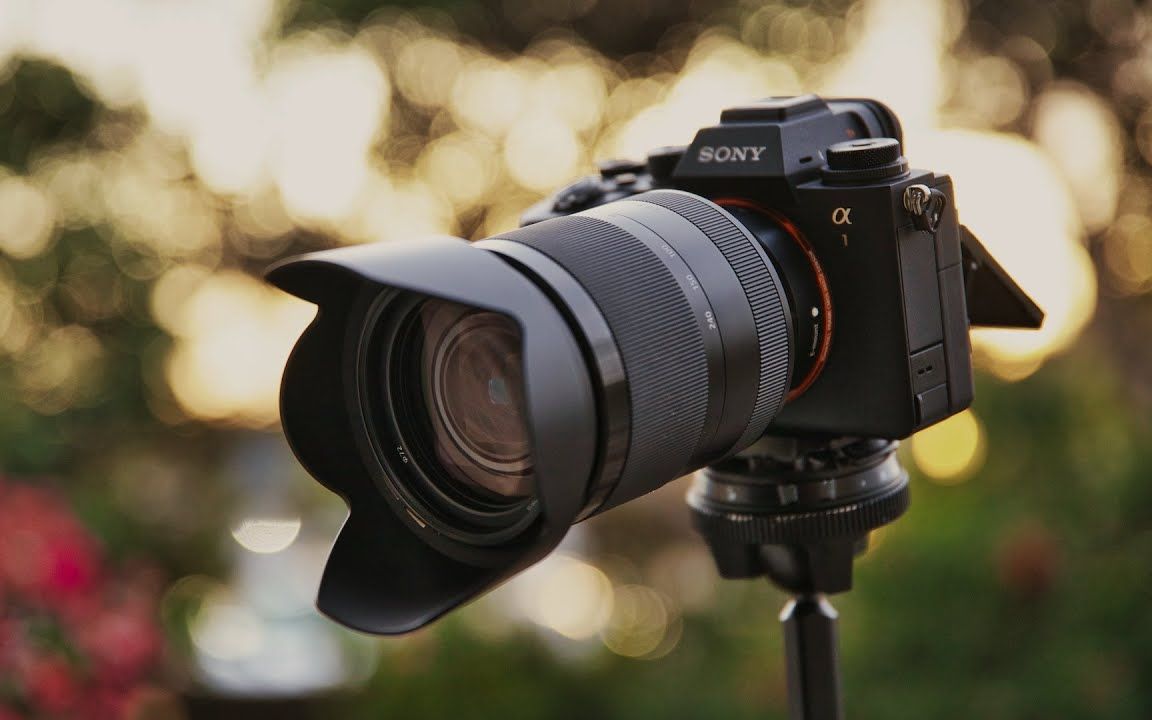 【相机测评】sony a1 _ 8k 10bit相机测评