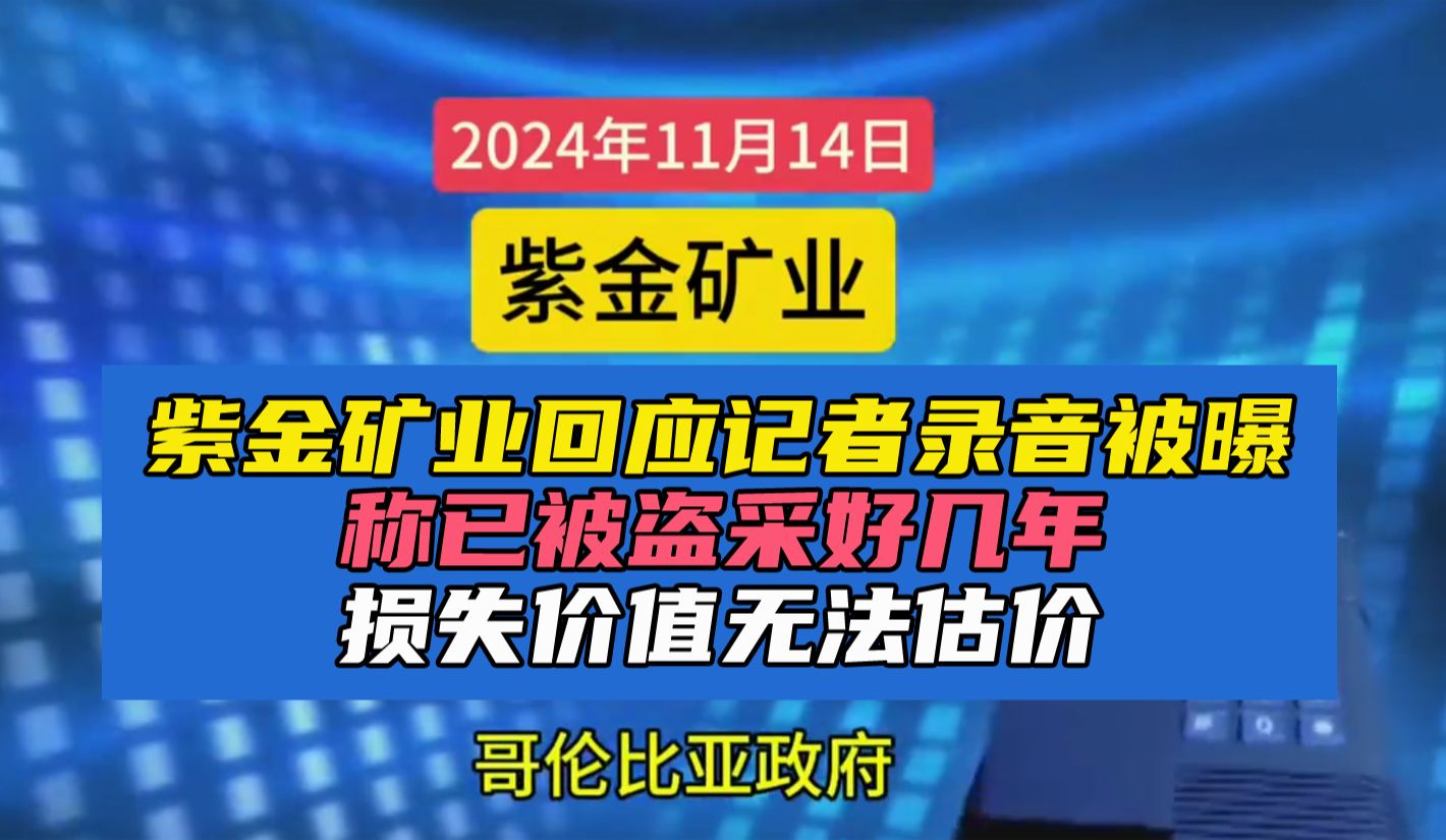 紫金矿业回应记者录音被曝,称已被盗采好几年,损失价值无法估价哔哩哔哩bilibili