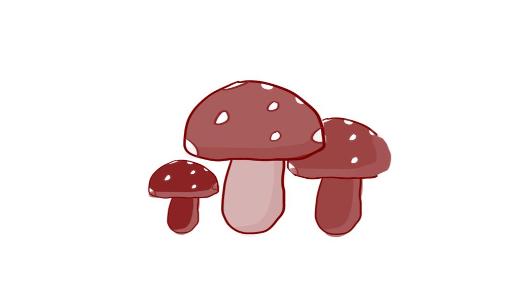 蘑菇浓汤【果子版】