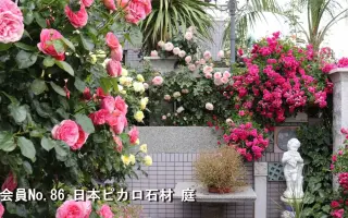 深谷市 搜索结果 哔哩哔哩 Bilibili
