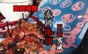 Download Video: 【恐怖目击-高能预警】泰国降头师炼制实录！令人胆战心惊，生理不适的做法过程！更有腐臭遗体令人胆寒