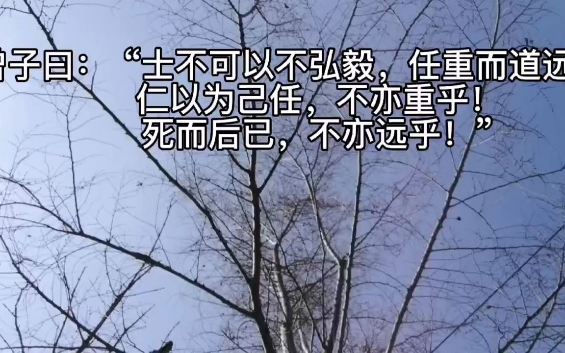 一起背论语:任重而道远哔哩哔哩bilibili