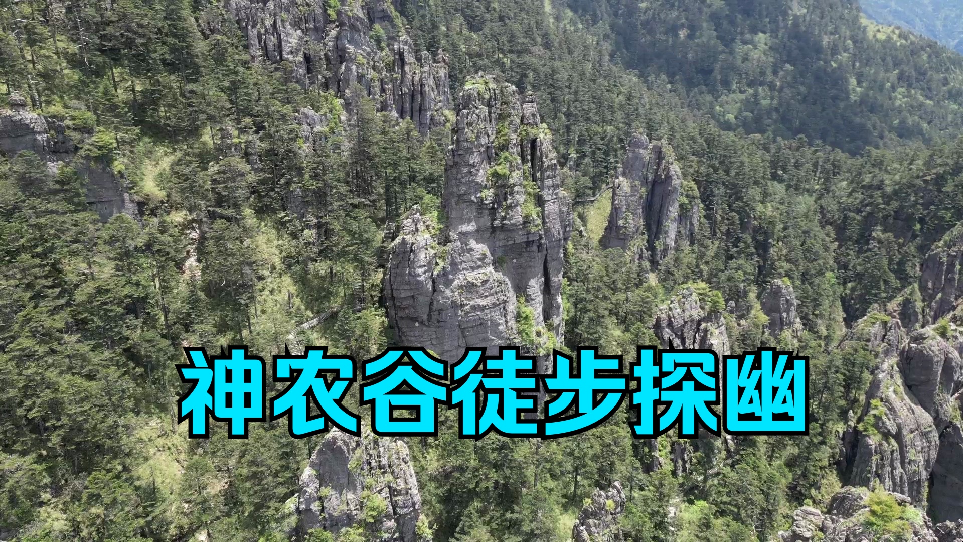 不探神农谷,枉来神农架.