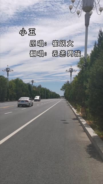 小猫名字叫小五,不会和同伴相处