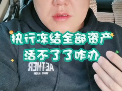 执行冻结全部资产活不了了咋办哔哩哔哩bilibili