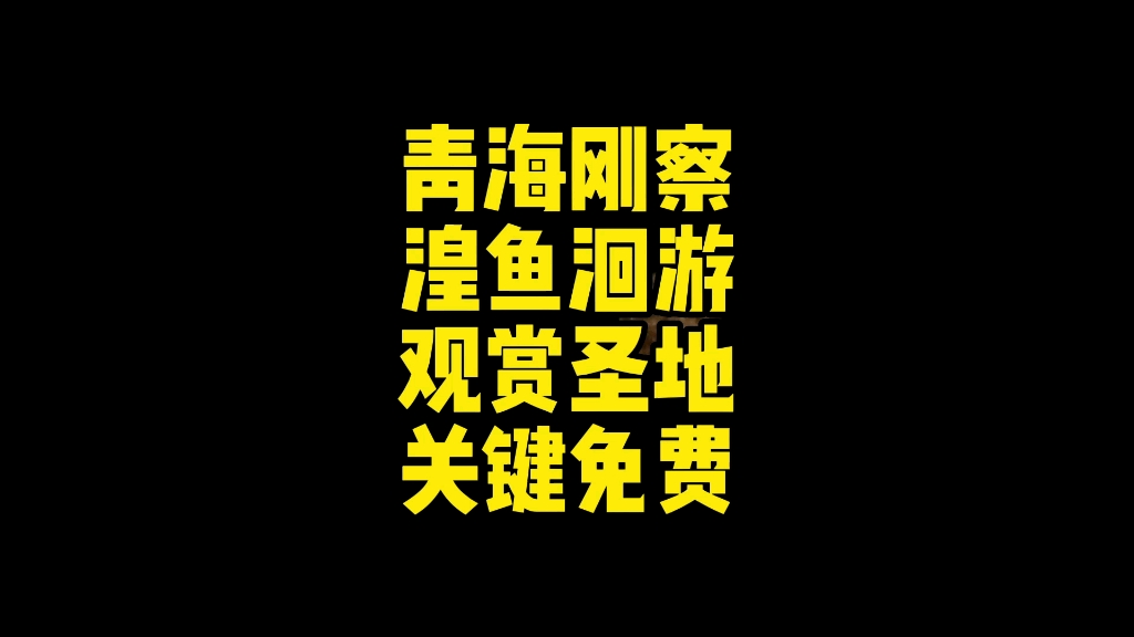 [图]今天推荐一个青海湖上游值得一去的地点，位于刚察县内的湟鱼洄游点，尤其适合带孩子来，体会湟鱼回游产子的艰辛，关键是景点免费没有套路，停车方便不收费，值得推荐！