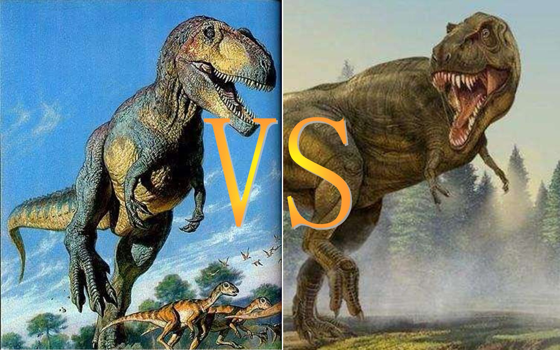 蛮龙vs南方巨兽龙图片
