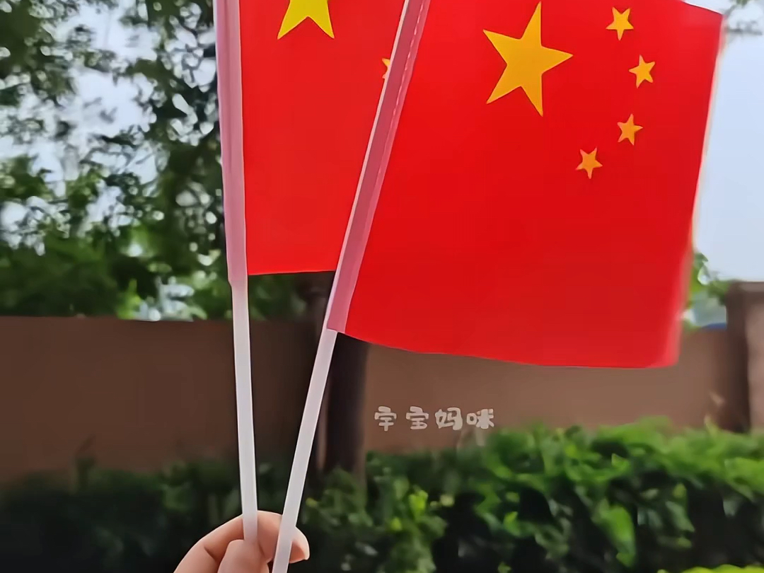 国庆节手摇小红旗,适合拿在手里的小红旗,中国人中国红中国心