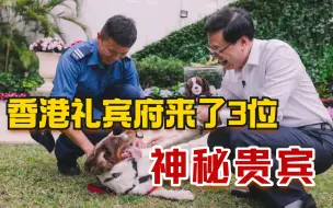 下载视频: 李家超“宴请”土耳其搜救犬到礼宾府作客，用零食招待