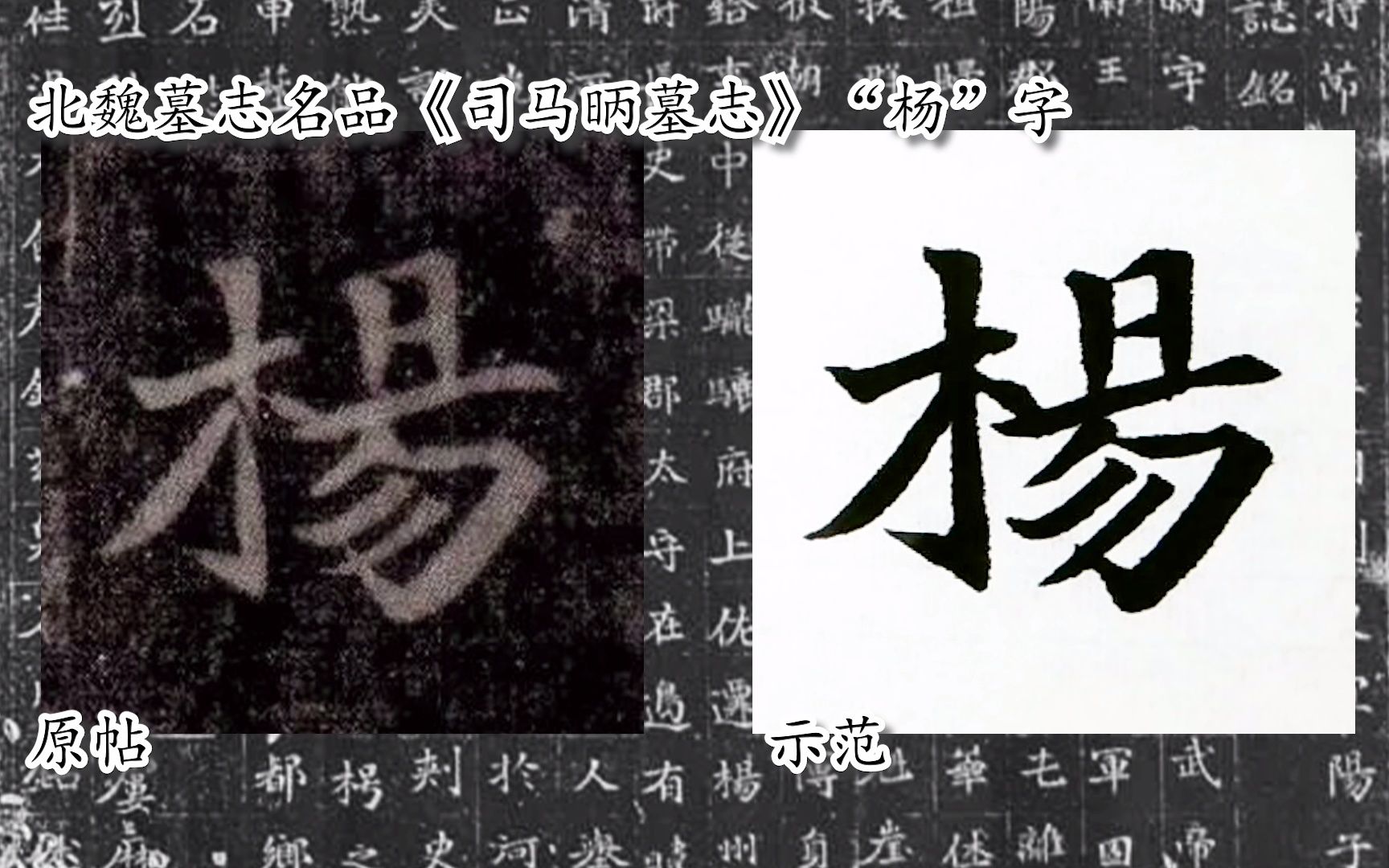 [图]【每日一字】书法系列，周东芬临北魏楷书《司马昞墓志》“杨”字