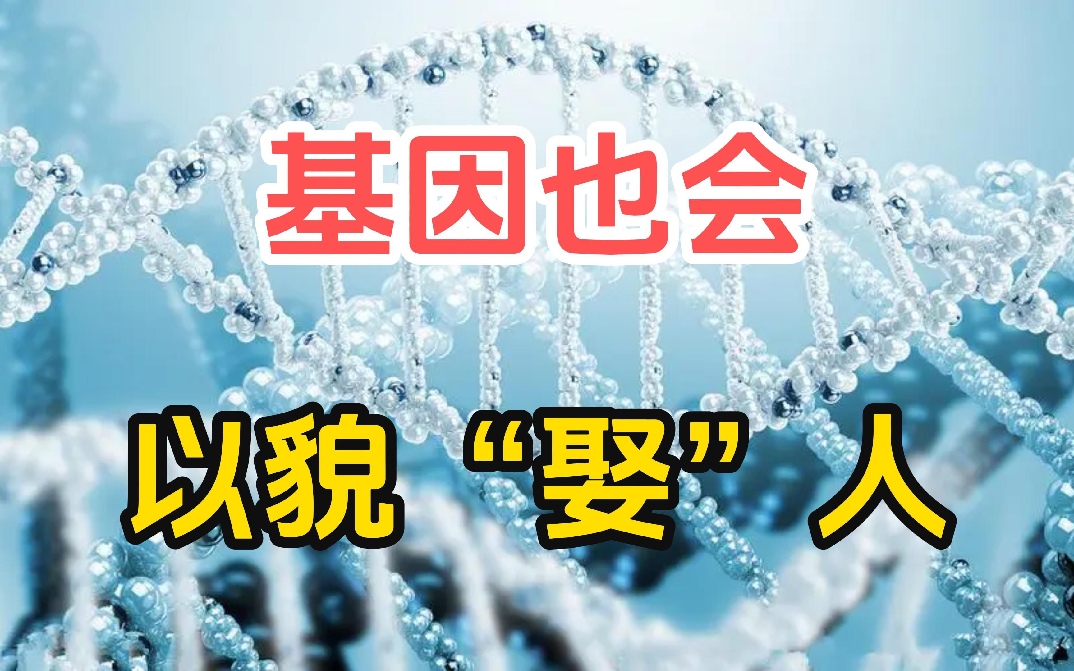 为什么人类都喜欢漂亮的异性?基因也会以貌“娶”人吗?哔哩哔哩bilibili