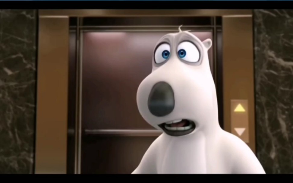 倒霉熊被困电梯