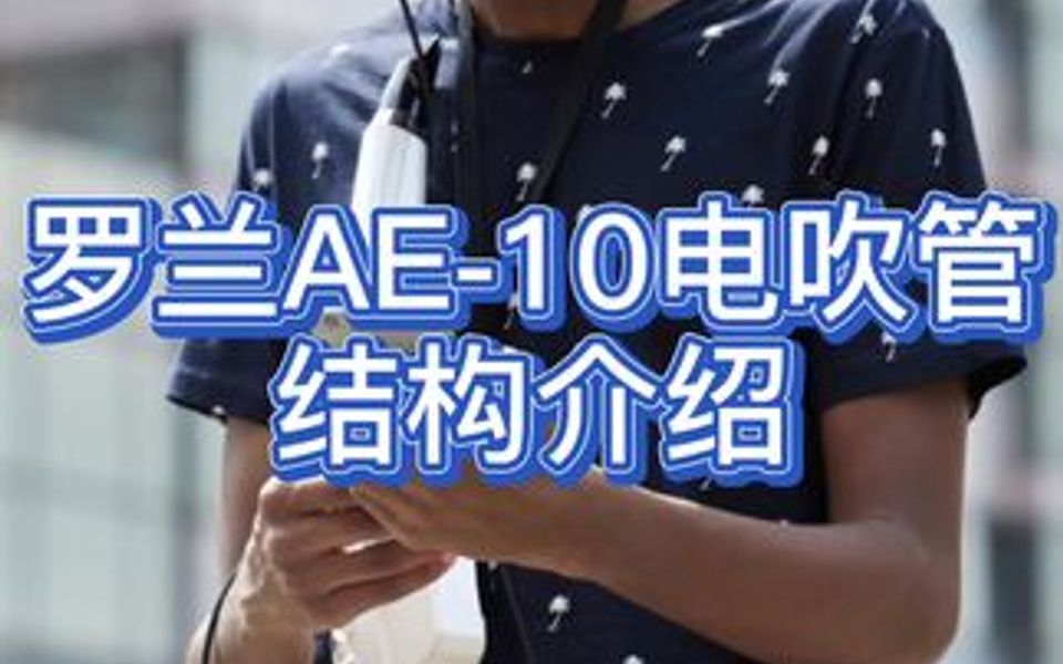 罗兰AE10寿命图片