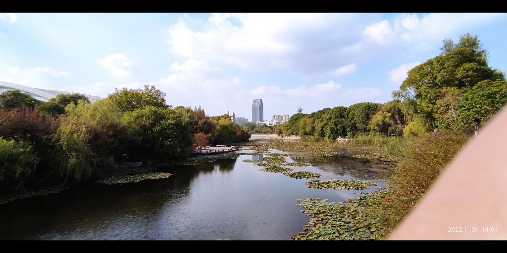 常州天琴湖公园图片