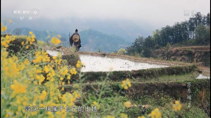 [图]苏东坡一蓑烟雨