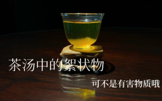 茶汤中的絮状物是什么呢?哔哩哔哩bilibili