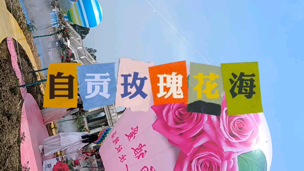 自贡网红老炮带你嗨翻玫瑰海四川达人汇中国玫瑰海