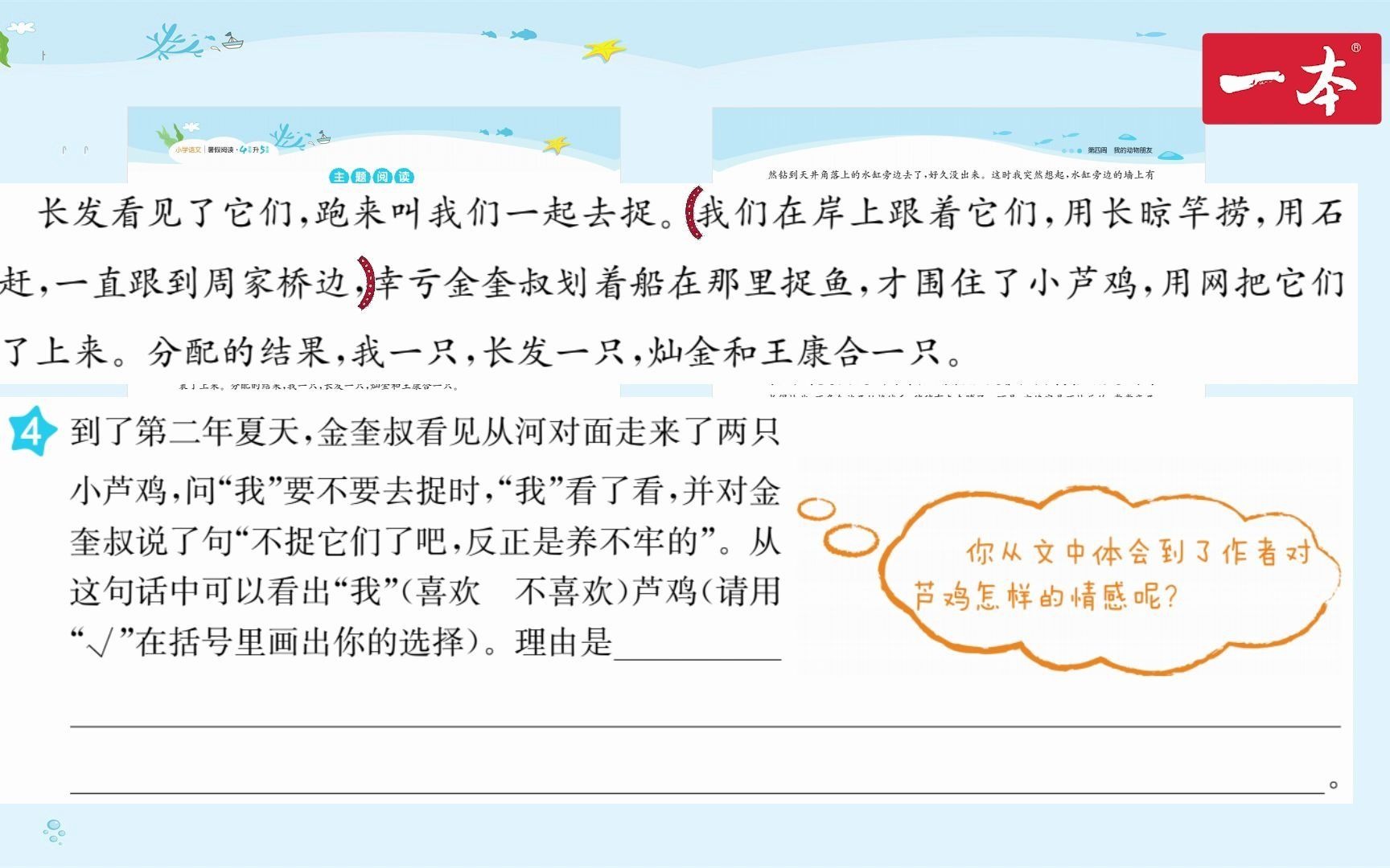 2021一本ⷥ𐏥�ﭦ–‡暑假阅读ⷴ年级升5年级ⷧ쬴周第1天《芦鸡》ⷧ픦ረ熩⑨磦ž哔哩哔哩bilibili