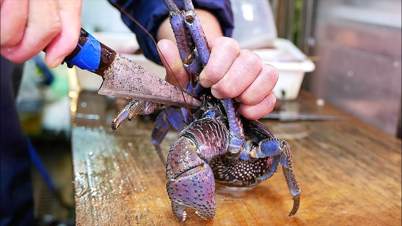 [街头美食]日本街头食品 - coconut crab crab咖喱海鲜冲绳日本