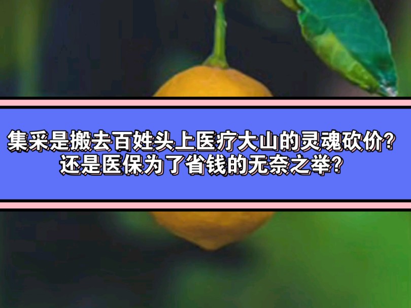 集采是搬去老百姓头上医疗大山的灵魂砍价?还是医保为了省钱的无奈之举?哔哩哔哩bilibili