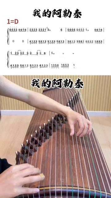 古筝d调纯筝版《我的阿勒泰》,麦拉西自由,热烈的奔放在阿勒泰大草原