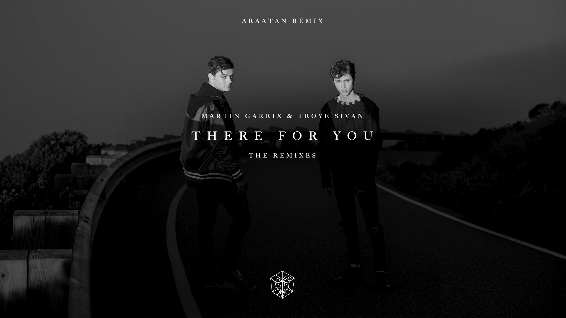 martin garrix troye sivan