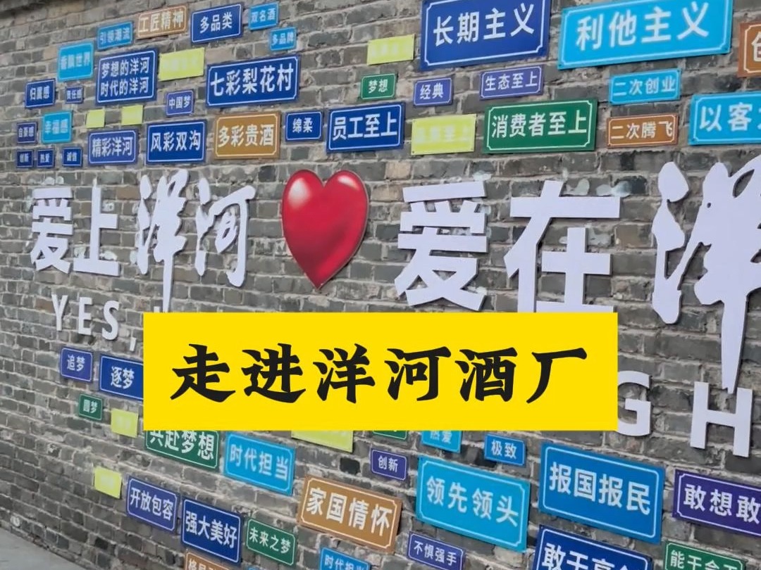 大家好!今天咱们来到了荣誉满身、连续三届斩获“中国名酒”称号的洋河酒厂,带大家参观一下哔哩哔哩bilibili